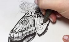 [Video] Trang trí con bướm bằng bút vẽ kỹ thuật Artline
